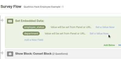 Shows Qualtrics survey flow with the "Set Embedded Data" element. There are two variables: employee_status and department.